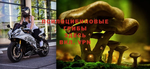 спайс Бородино